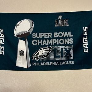 Philadelphia Eagles Super Bowl Champions Banner